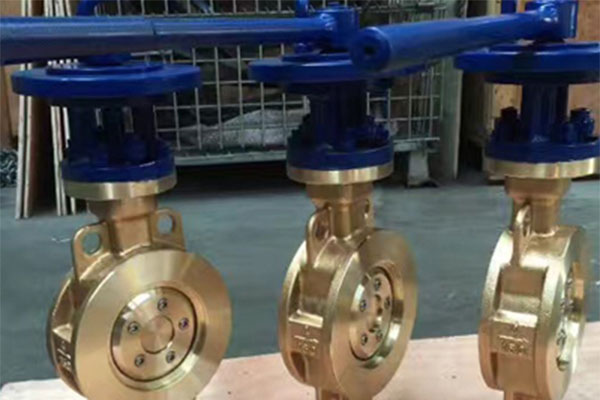 Bakit Kalawang sa Buhok na Butterfly Valve Surface?