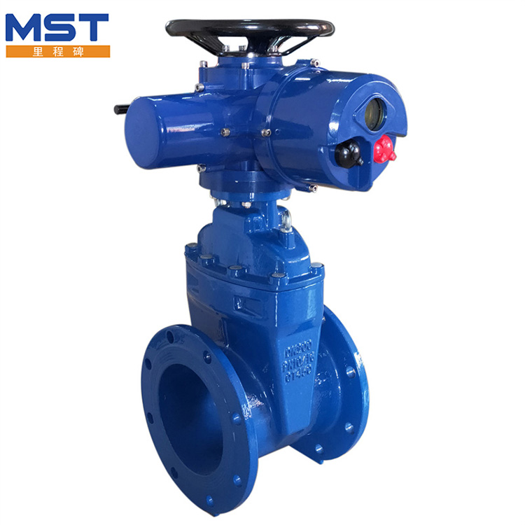 Panimula sa mga modelo ng gate valve