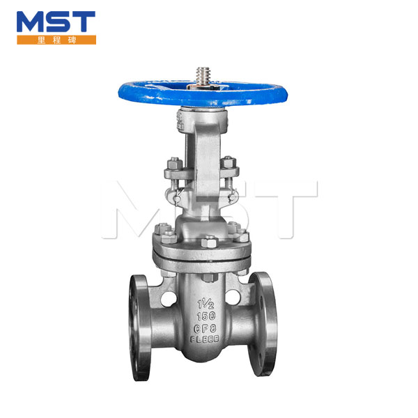 ASME Gate Valve