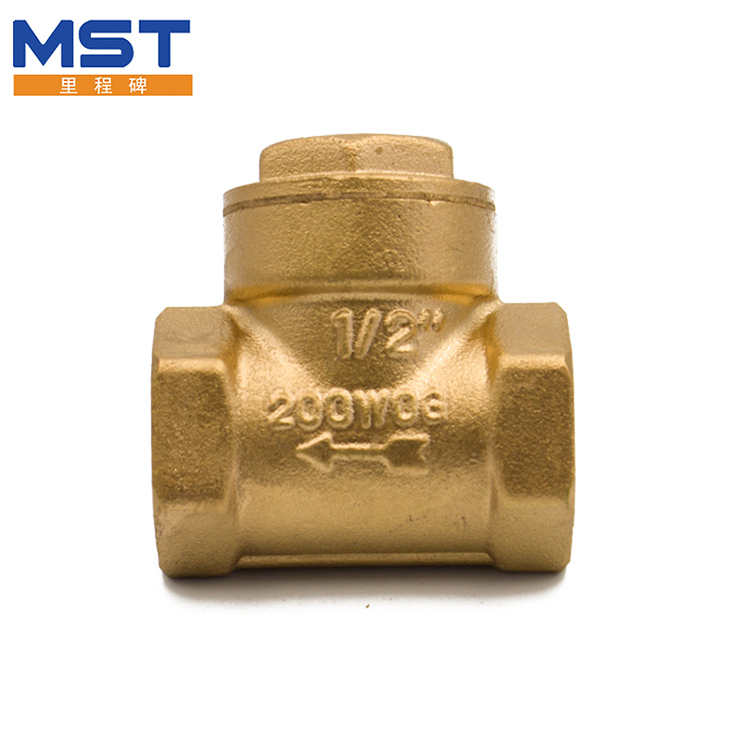 Brass Swing Check Valve