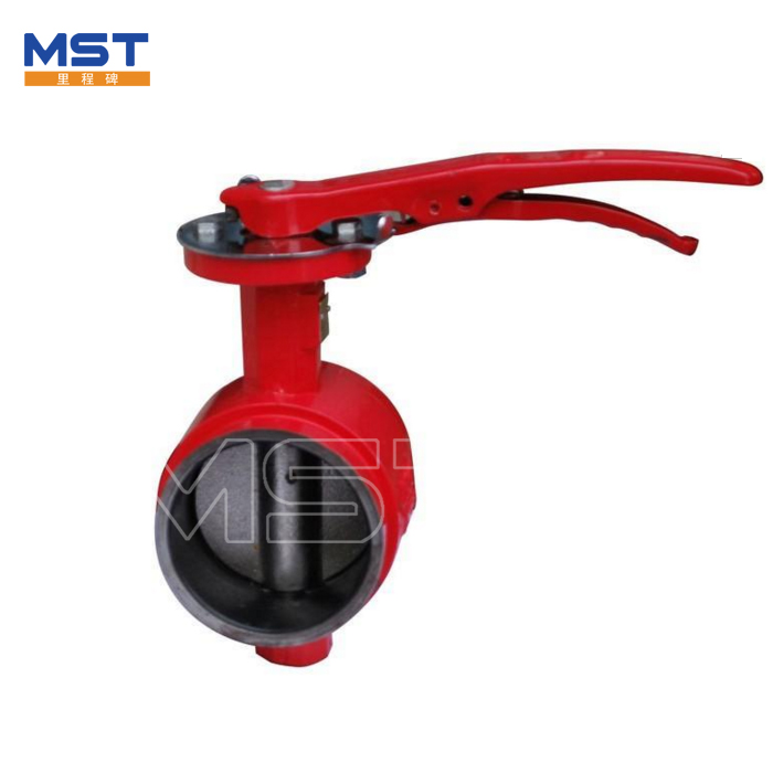 Butterve Control Valve