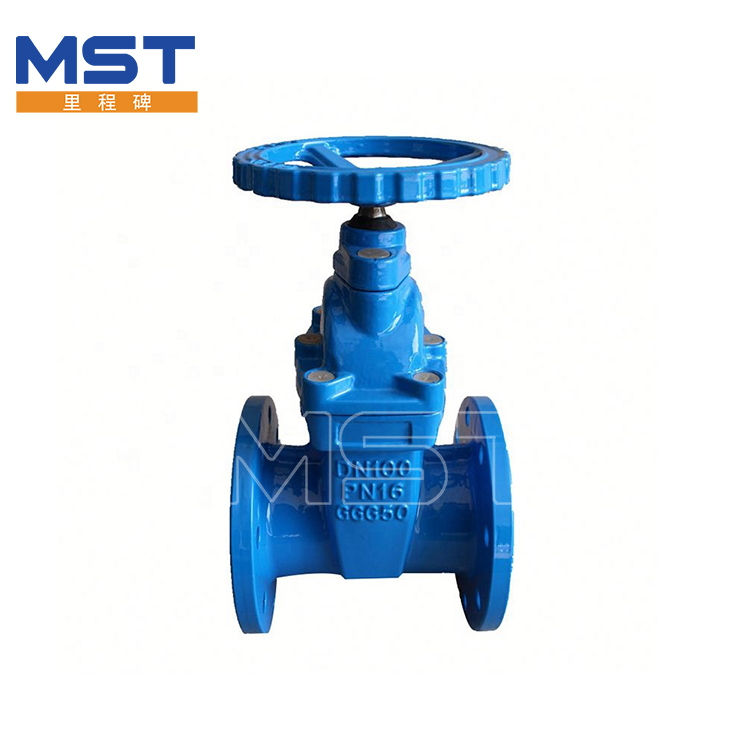 Cast Iron Flange Gate Valve