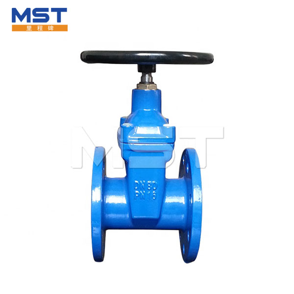 Cast Iron Gate Valve