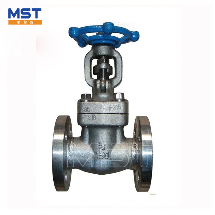 Cast Steel Gate Valve