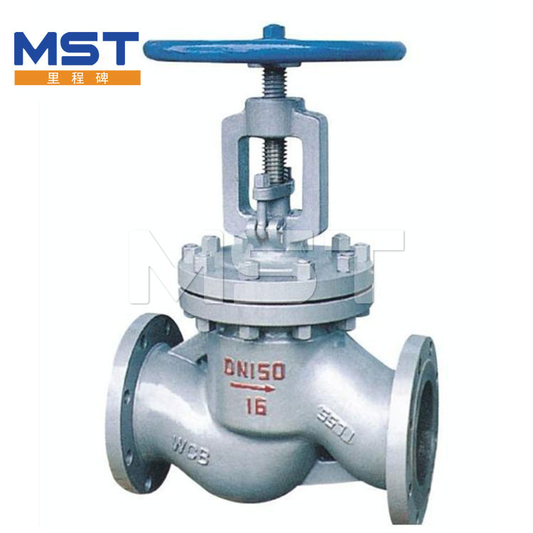 Cryogenic Globe Valve