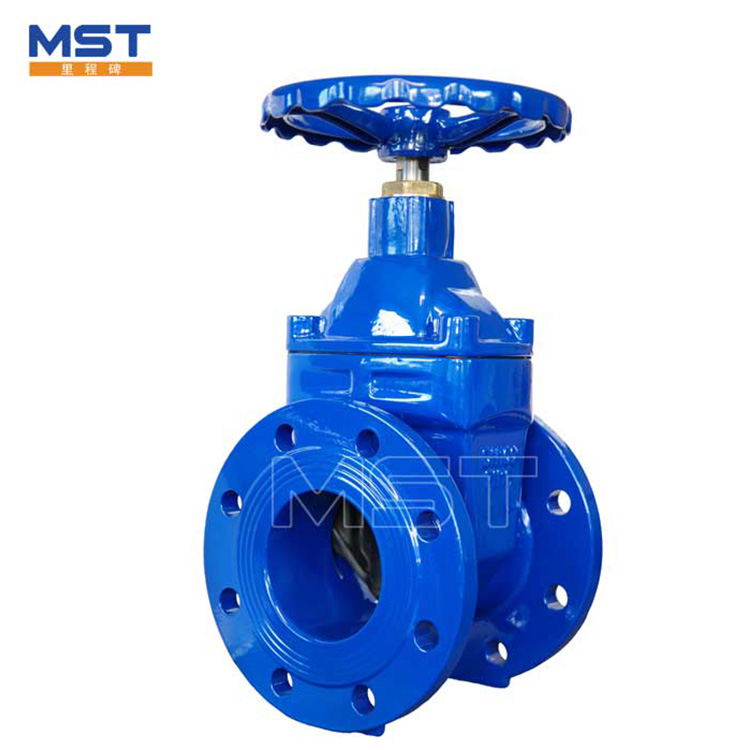 Dobleng flange sluice valve