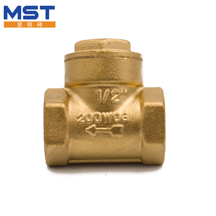 Check Valve ng Hot Water Heater