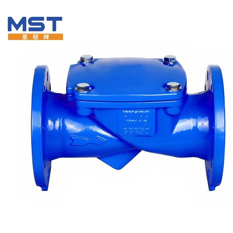 Valve Disc Check Valve